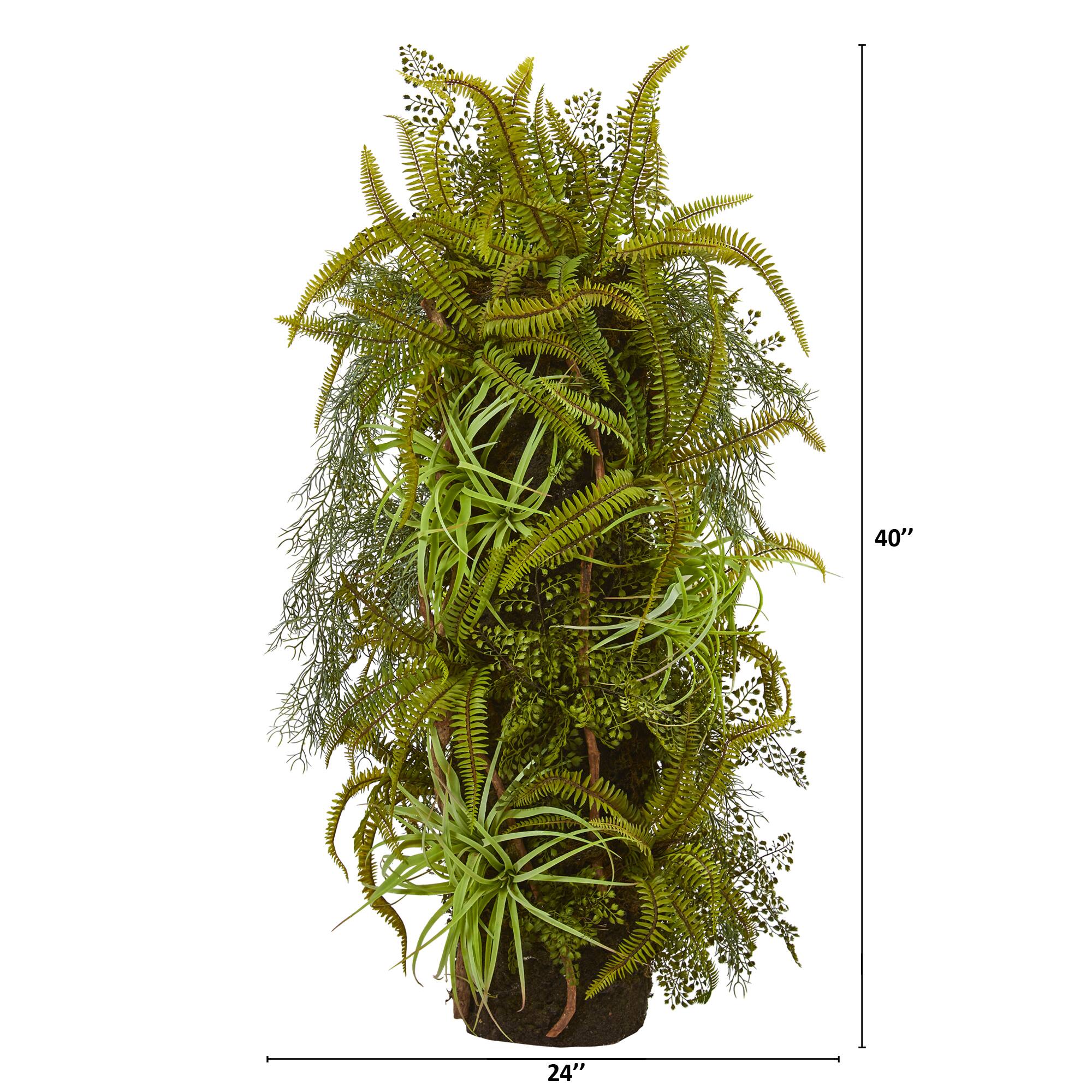 3.5ft. Mixed Forest Foliage Plant On Trunk
